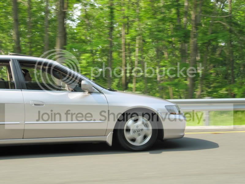 IMG_1038.jpg