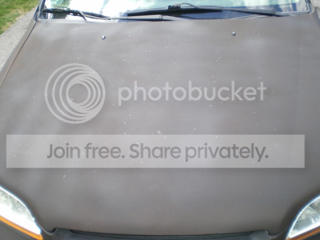 IMGP0199.jpg
