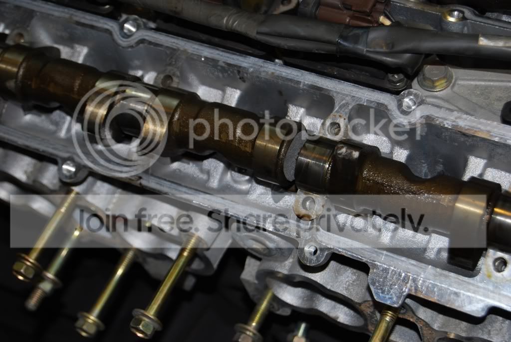 DSC_3006.jpg