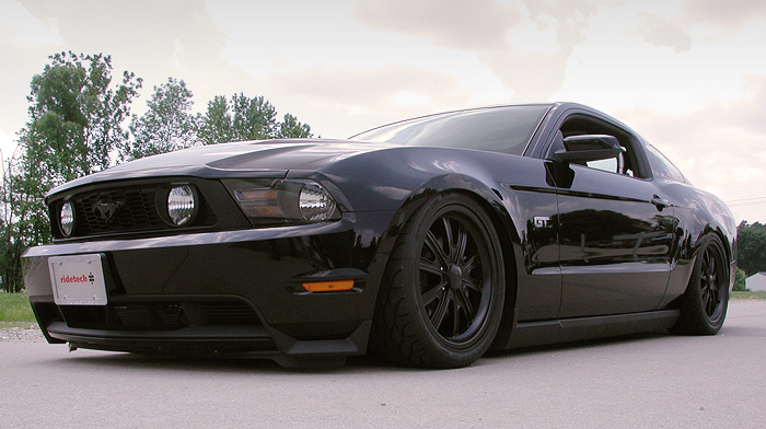stang1.jpg