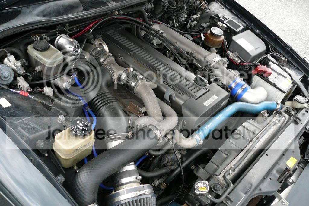 P1020014_zps9c93df04.jpg