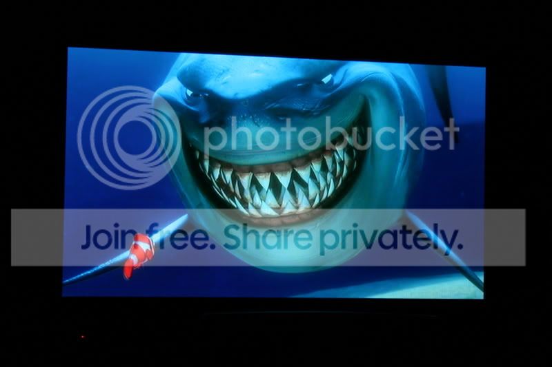 IMG_3638.jpg