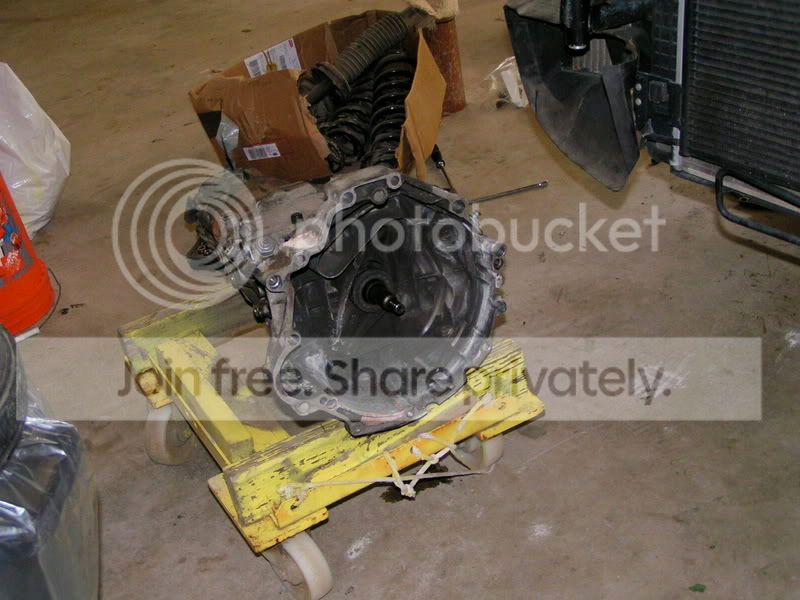 PICT7284.jpg