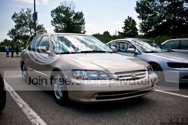 cars6.jpg