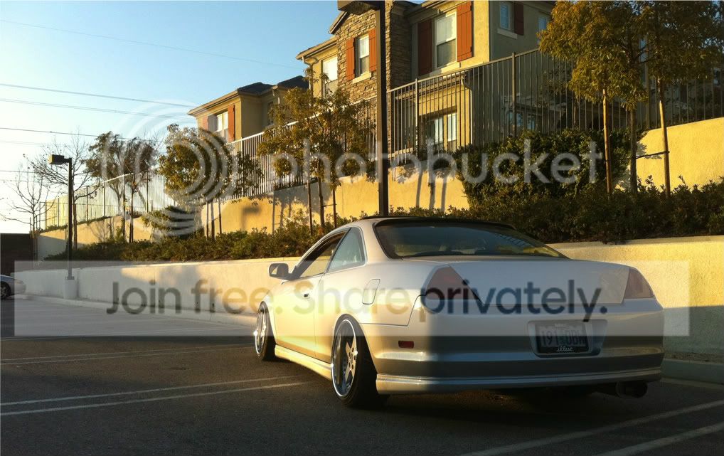 c504db17.jpg