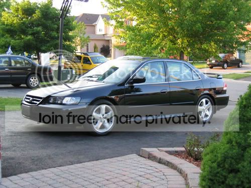 accord2.jpg