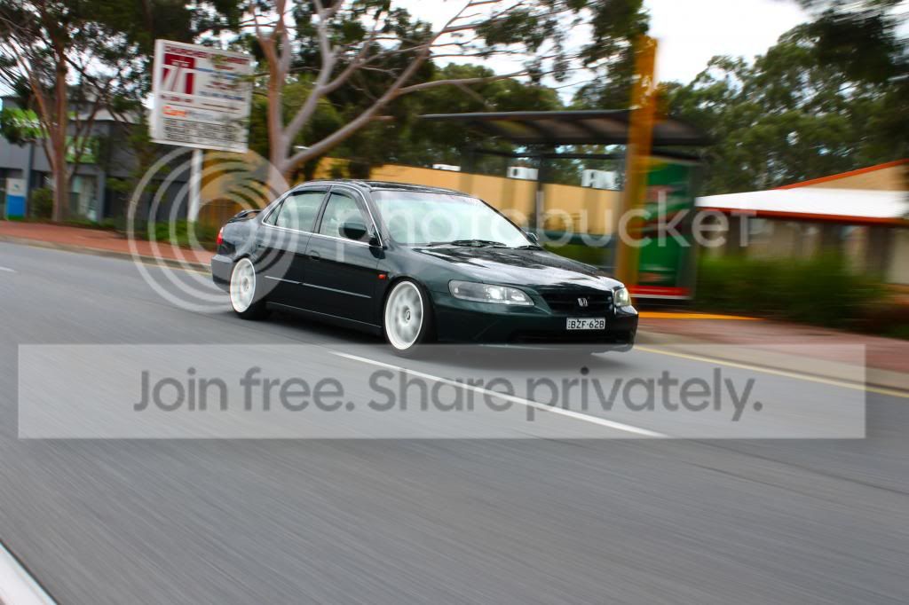 IMG_2226_zps760346ee.jpg