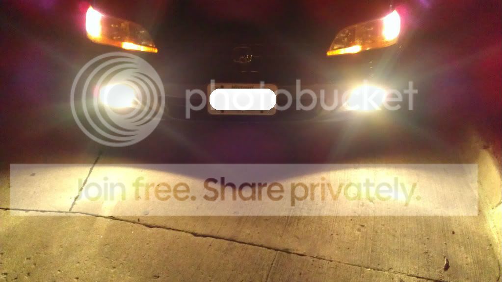 IMAG0232-1.jpg
