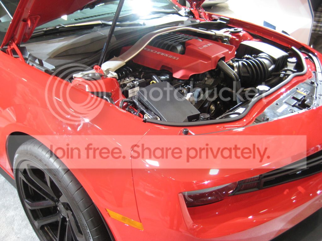 IMG_0471_zps8af85968.jpg