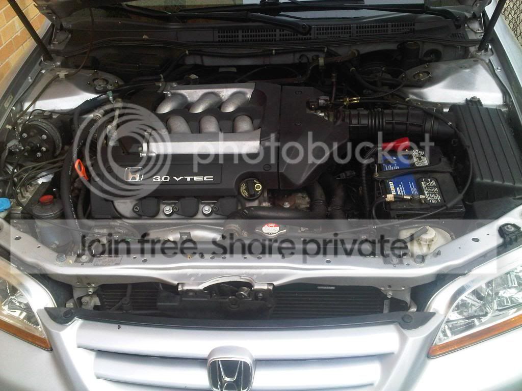 enginebay.jpg