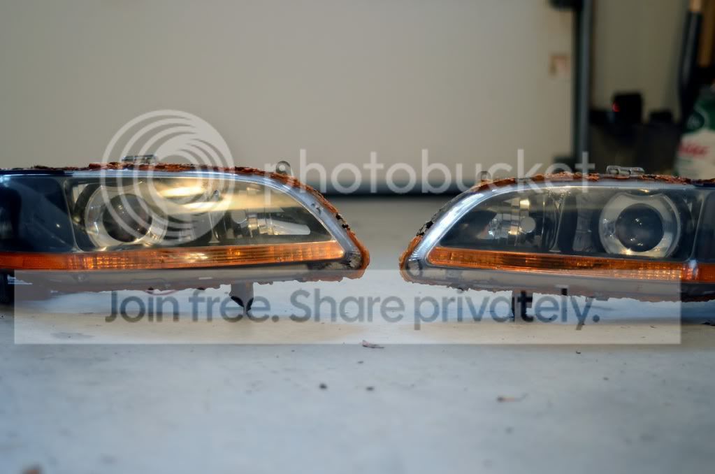 DSC_6999a.jpg