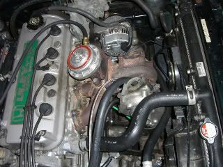 CIMG1626.jpg