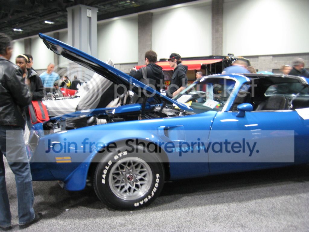 IMG_0454_zps6965184c.jpg
