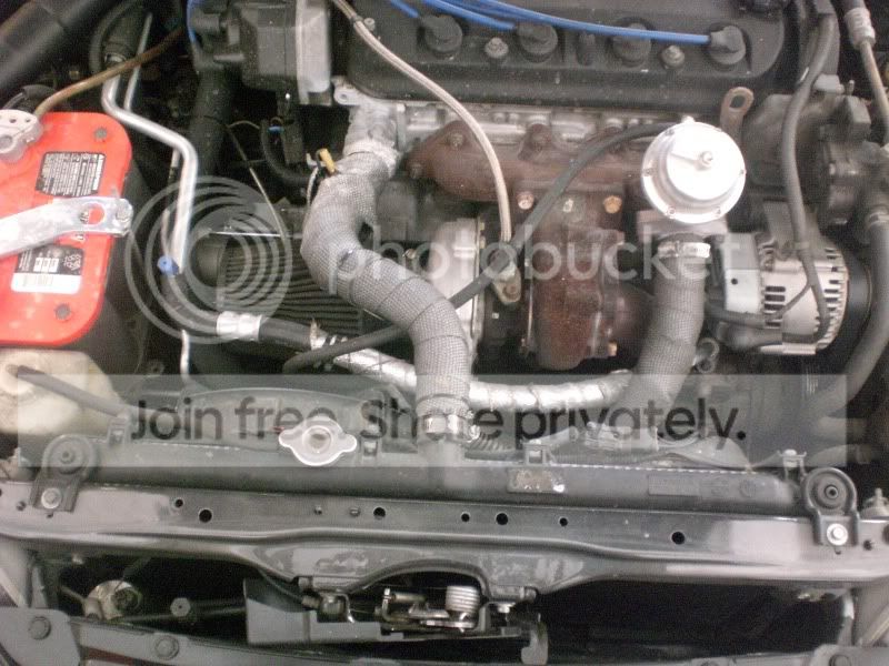 CIMG3822.jpg