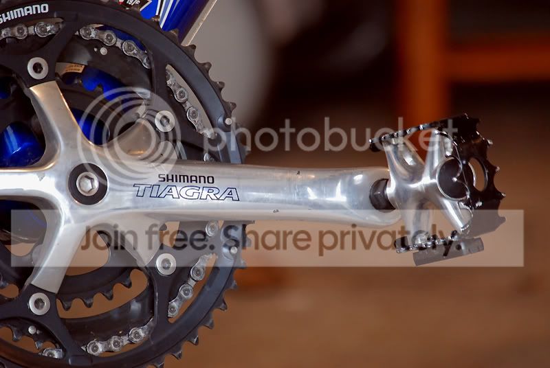 bike012.jpg