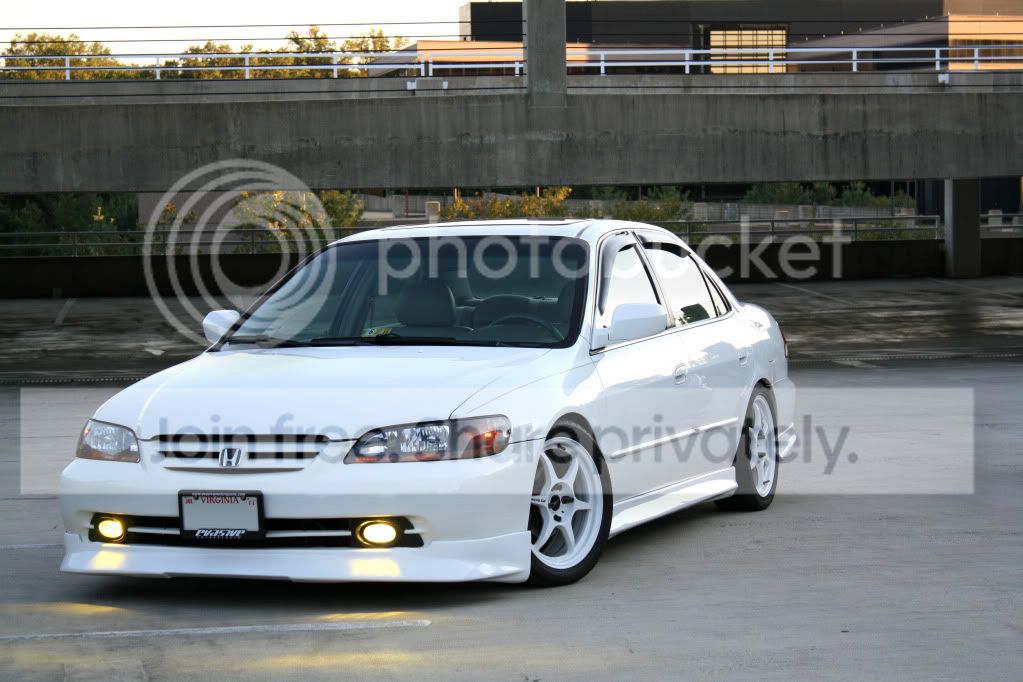 IMG_2329copy.jpg