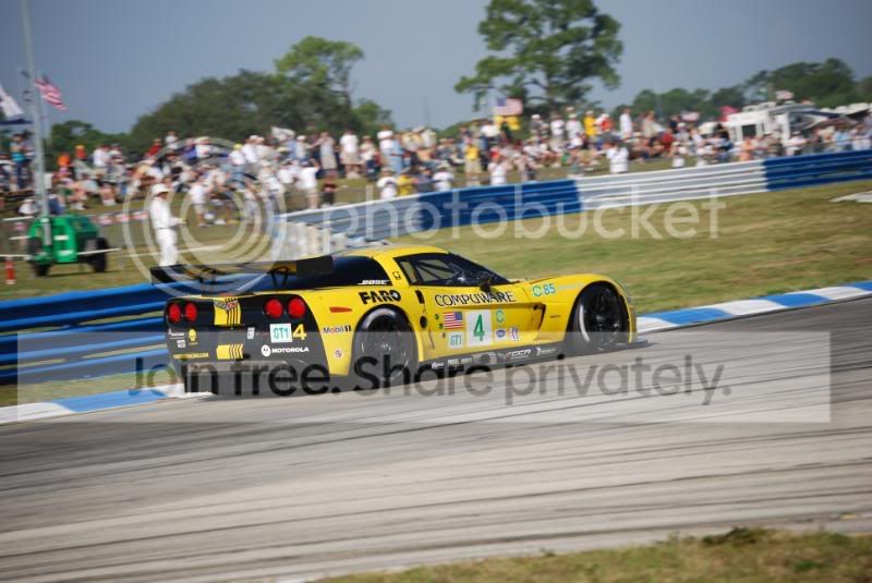 DSC_0505.jpg