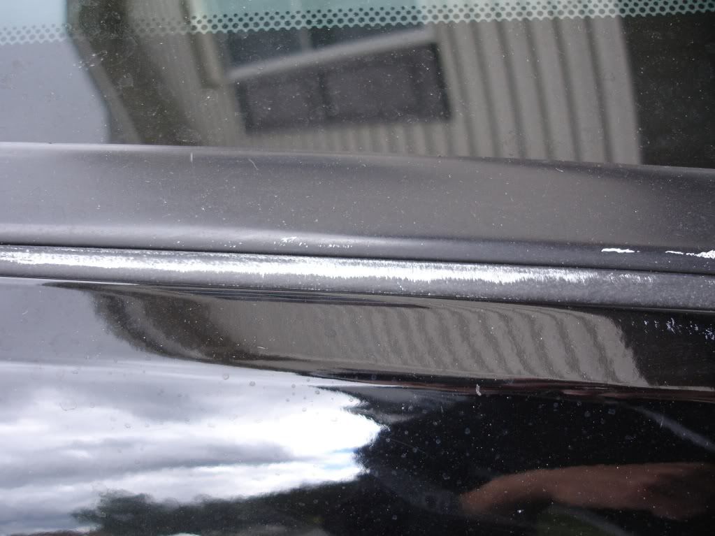 DSC05828.jpg