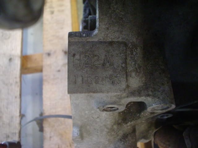 DSC00366.jpg