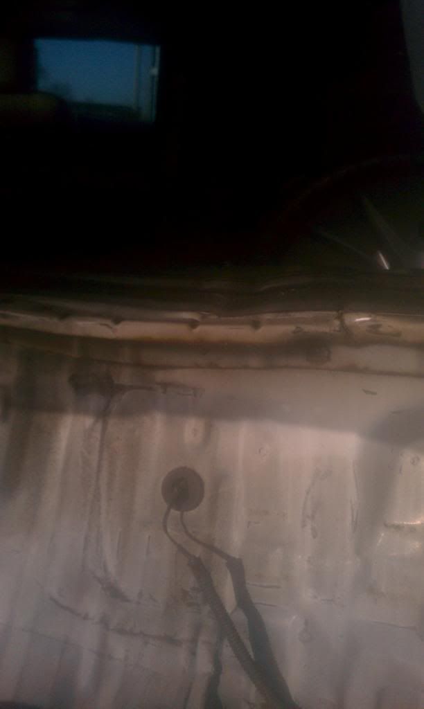 IMAG0216.jpg