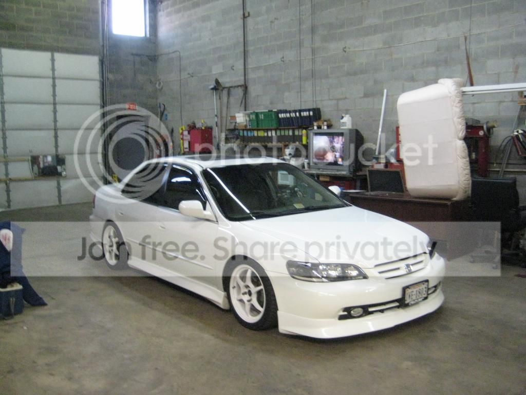 IMG_0776_zps518be1cc.jpg