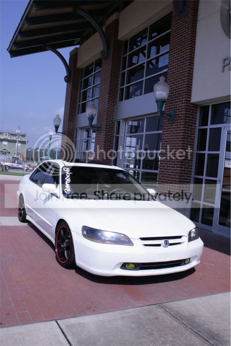 IMG_0763copy.jpg