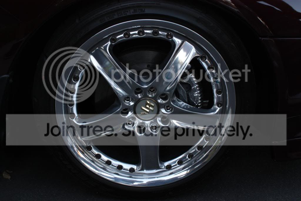IMG_1127.jpg