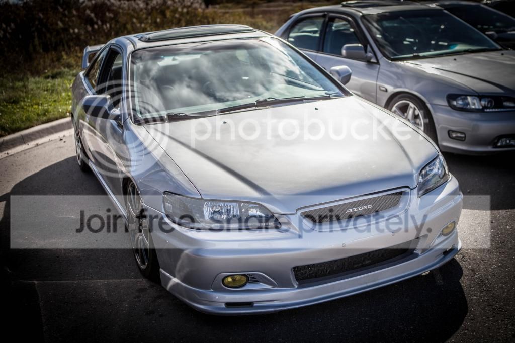 IMG_2724_zpsf0c0d606.jpg