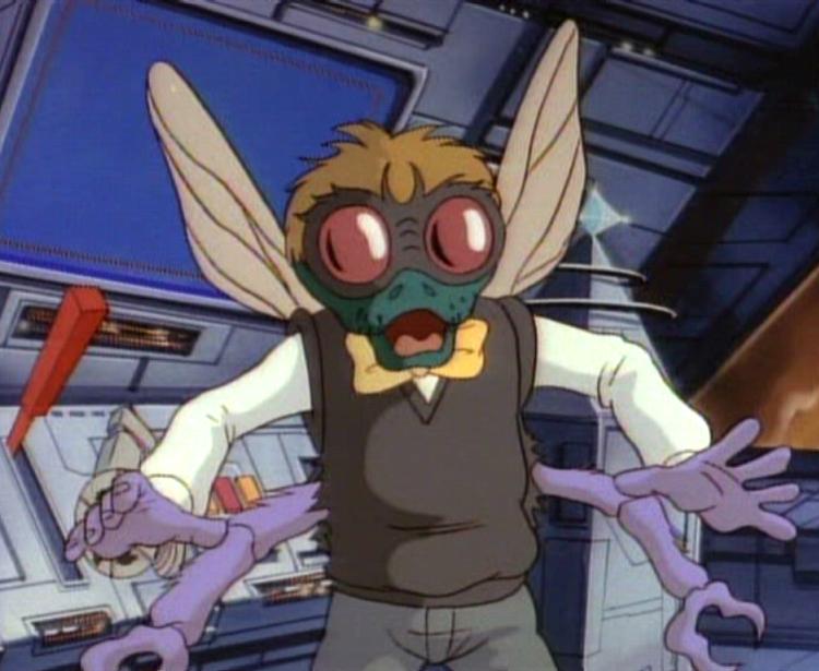 Baxter_the_Fly.jpg