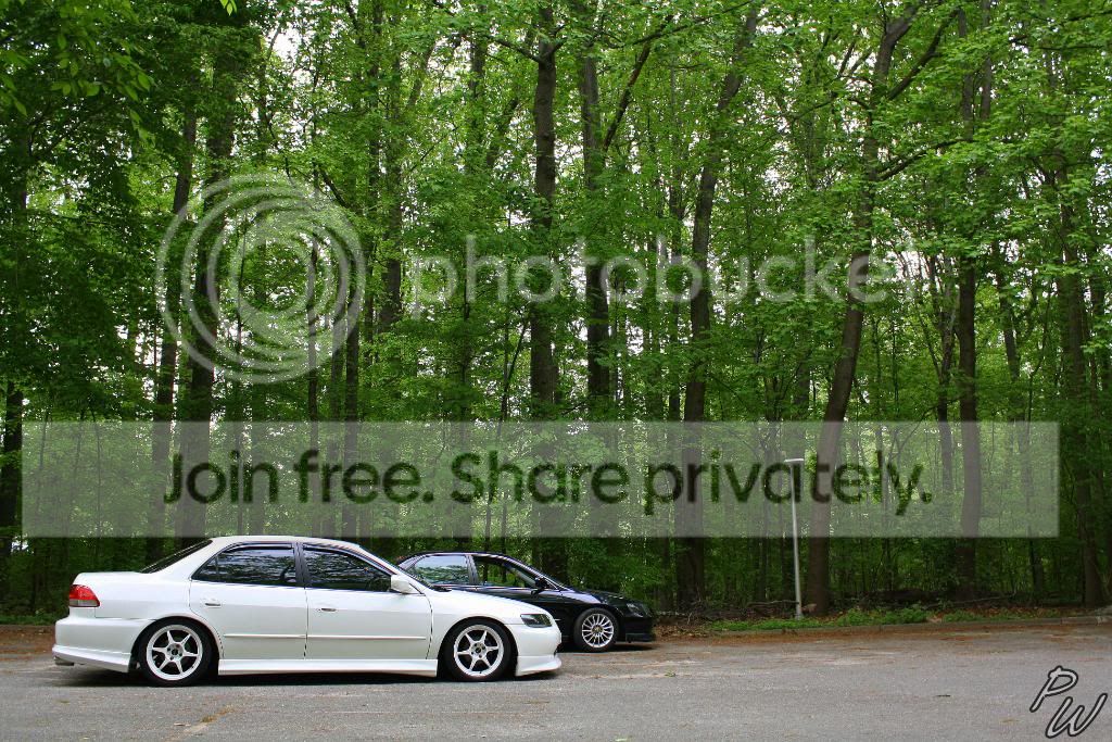 IMG_0274.jpg