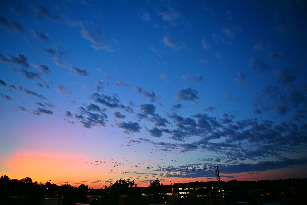 3750615883_f58f8dd146_o.jpg