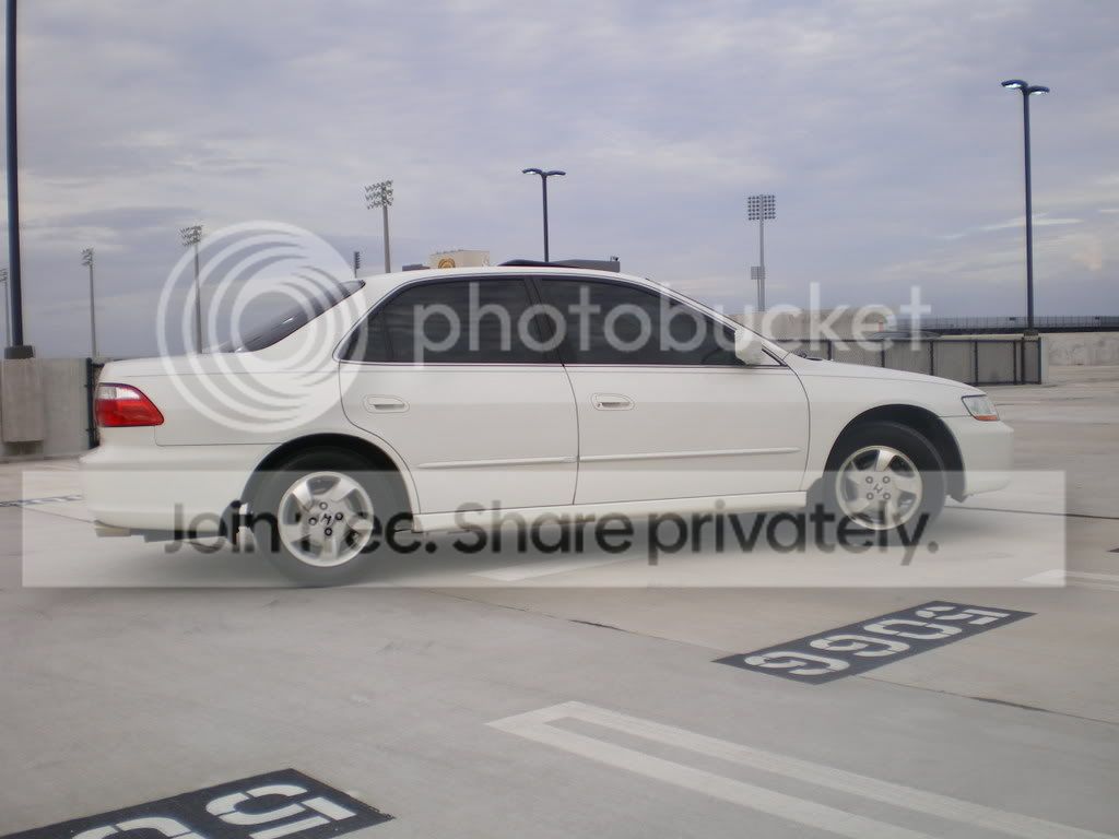 IMGP0830.jpg