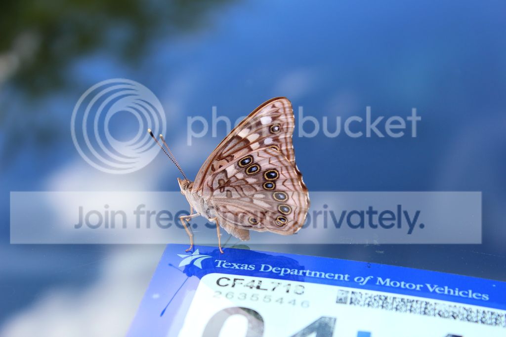 DPP_0018_1.jpg
