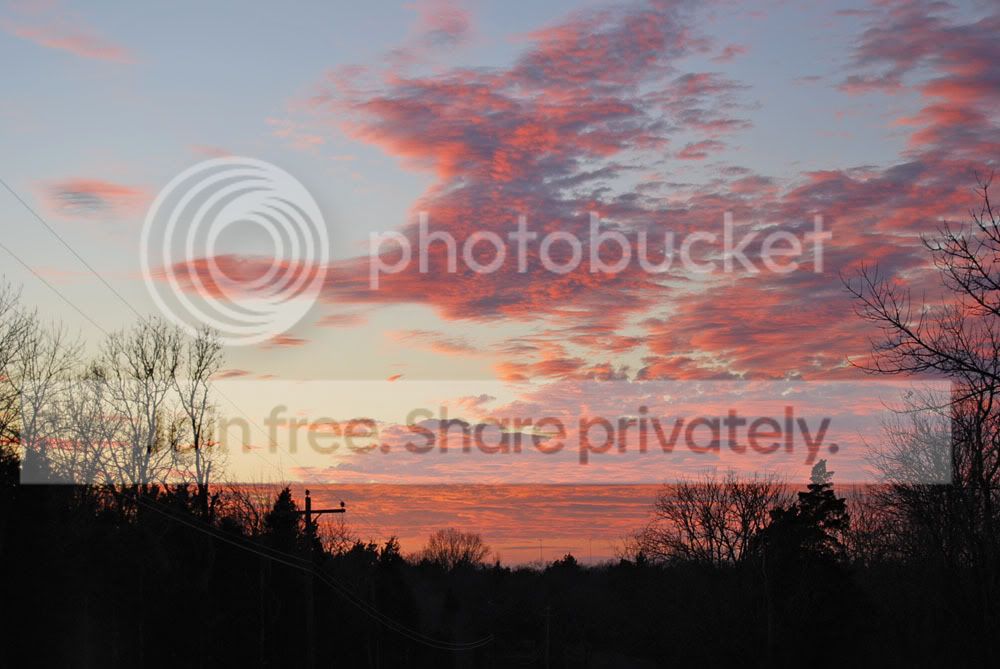 DSC_0268e.jpg