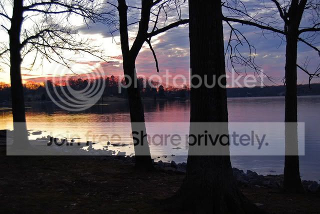 DSC_0271e.jpg