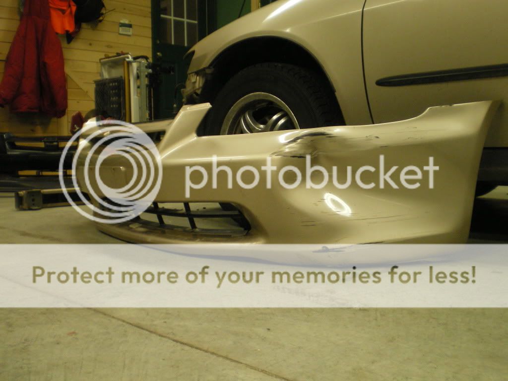 IMGP0169.jpg