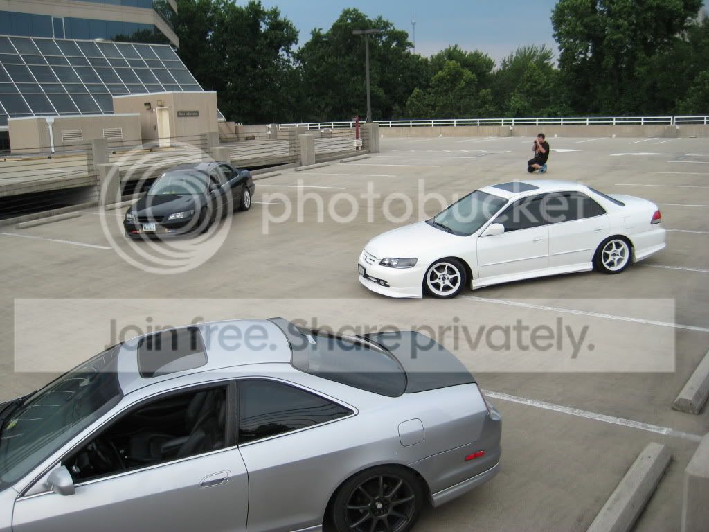 IMG_7731.jpg