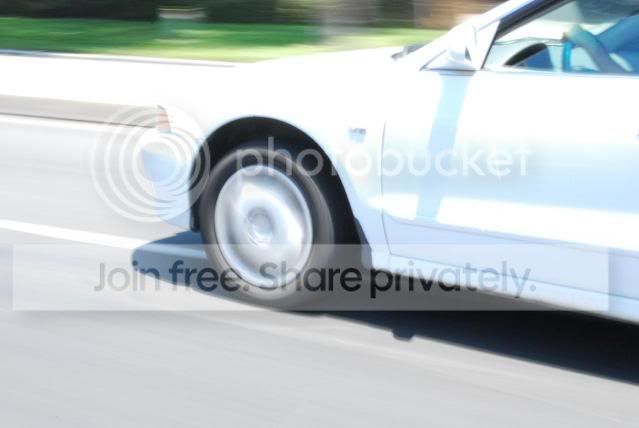 DSC_0090ss.jpg