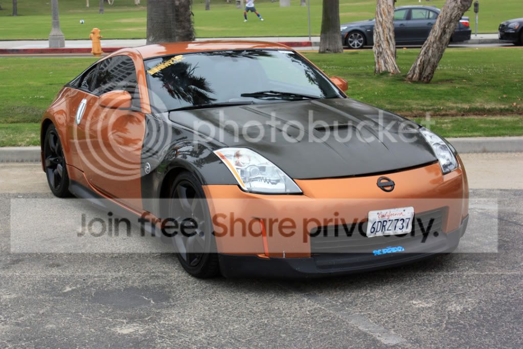 IMG_9324.jpg
