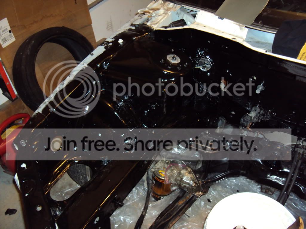 DSC00717-Copy.jpg