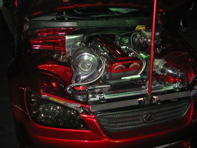 HINBoston2K7173.jpg