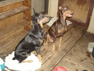 Picture002-4.jpg