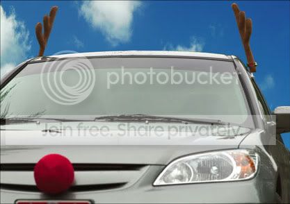 reindeer_071210_0331.jpg