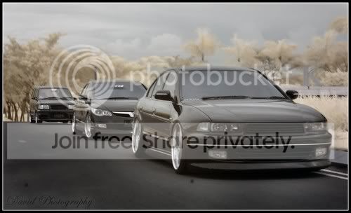 galant4.jpg