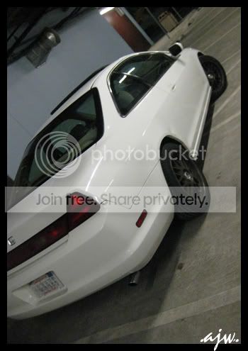 accordback4copy.jpg