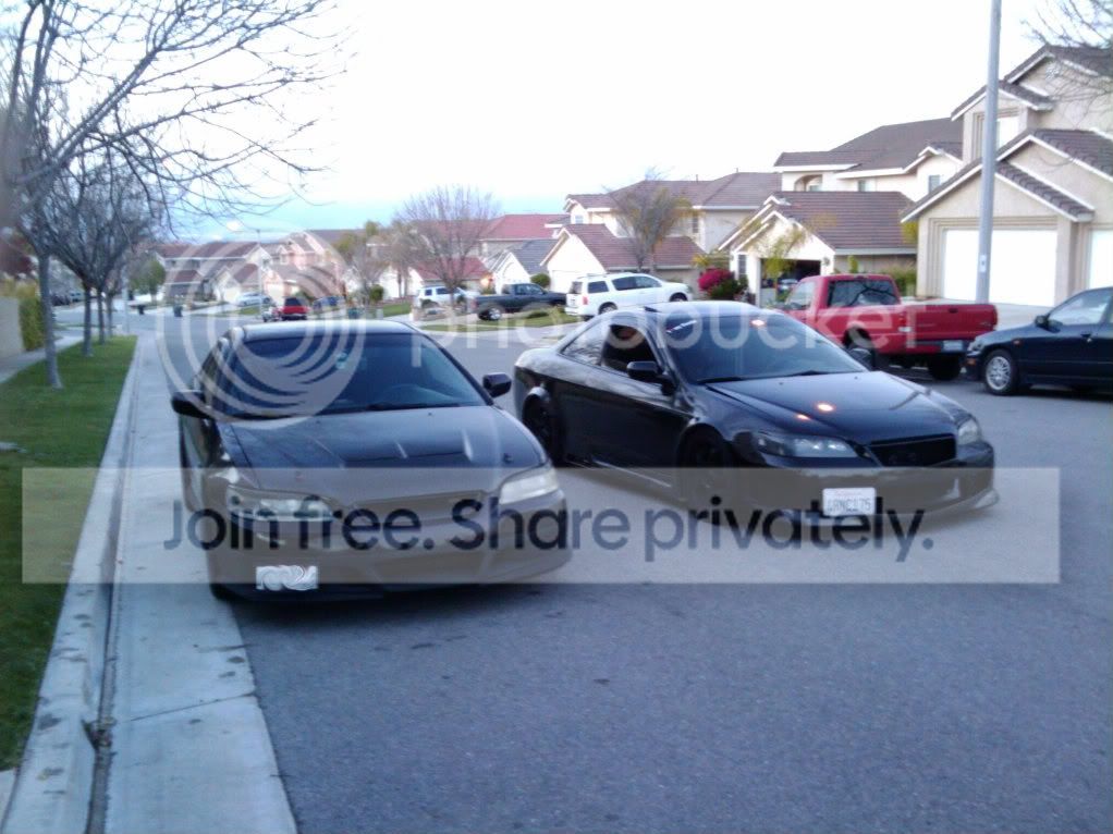 2011-03-22190849.jpg