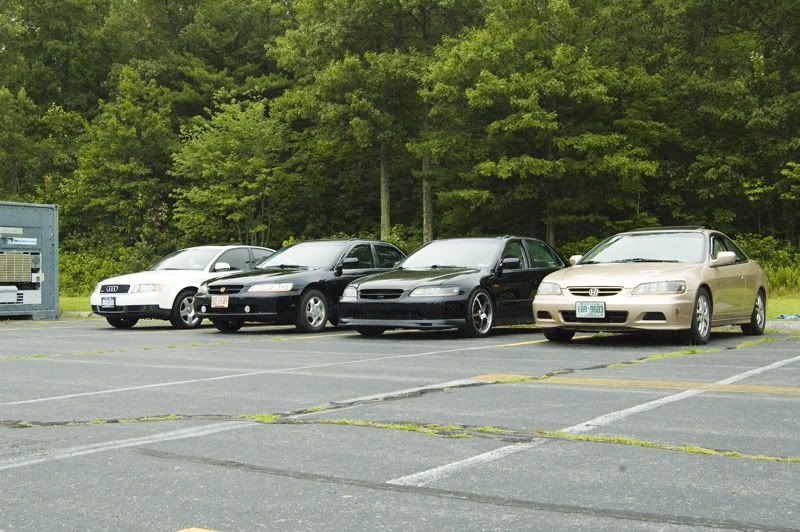 DSC_8695.jpg