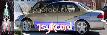 1sykcord.jpg