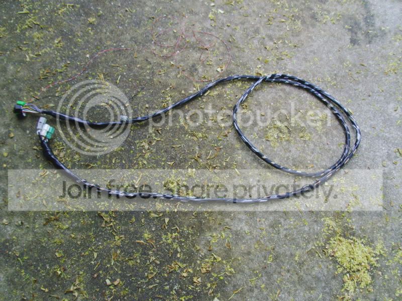 PICT0093.jpg