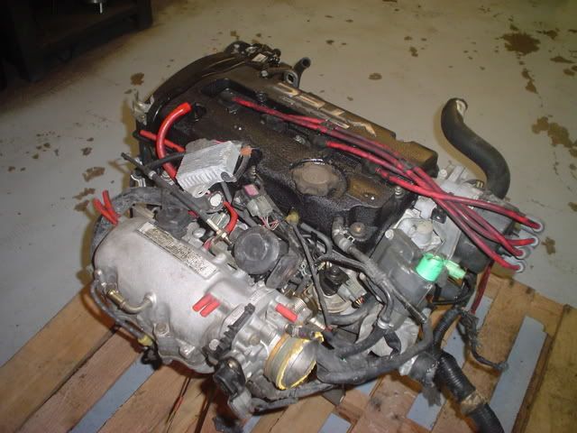DSC00363.jpg